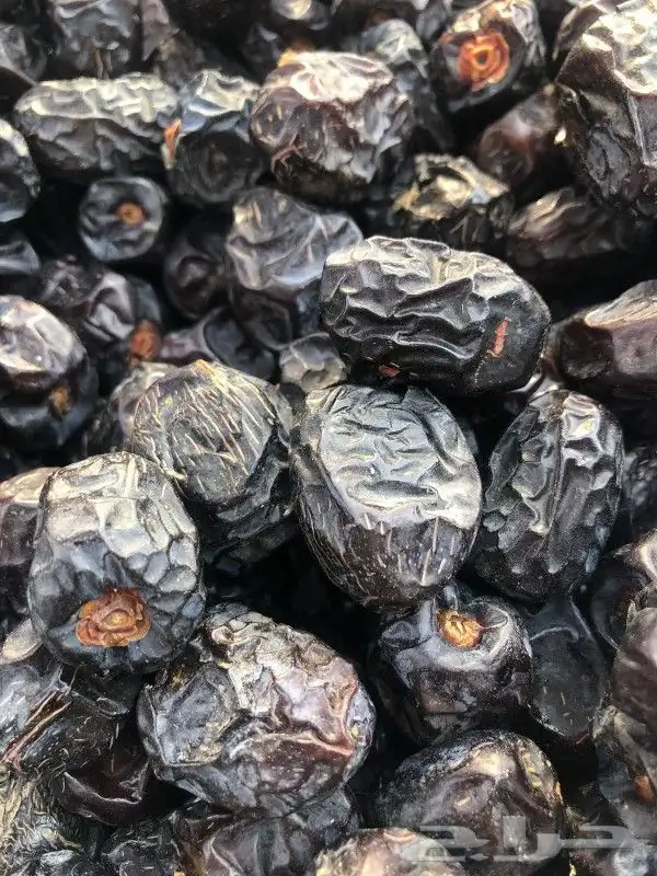 عجوه المدينة فاخر عضويه 0