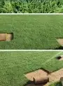انجيله درجة اولا 3