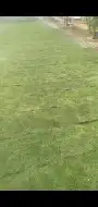انجيله درجة اولا 4