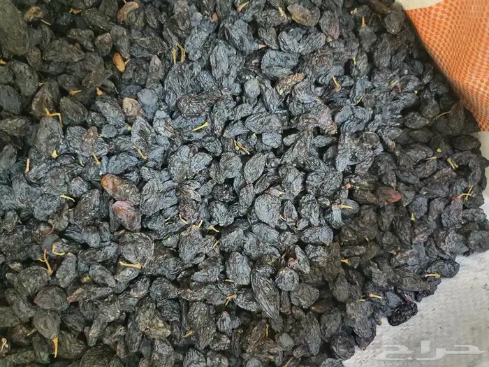 زبيب اسواد يمني عسل بن خولاني 4