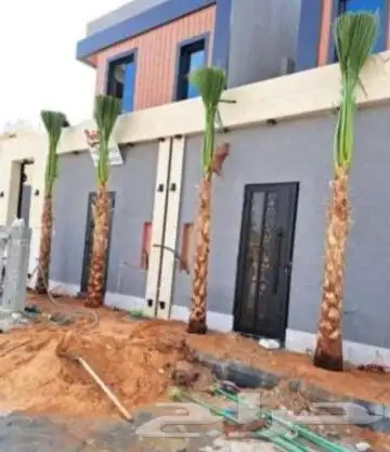عروض نخل بجميع انواعة 6