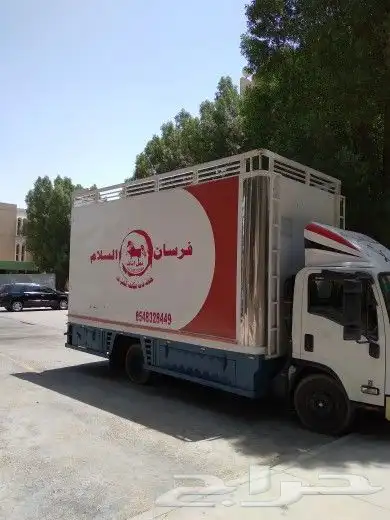 فرسان السلام لنقل العفش والاثاث المنزلي بالمنطقة الشرقية 1