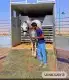 عربة نقل خيل من عرعر إلى الرياض 1