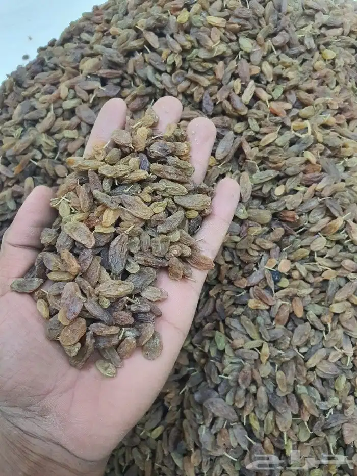 زبيب اسواد يمني عسل بن خولاني 1