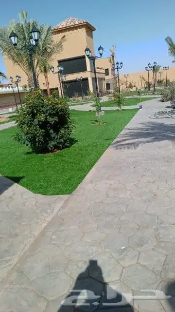 عشب جدارى عشب ارضى تنسيق حدائق 0