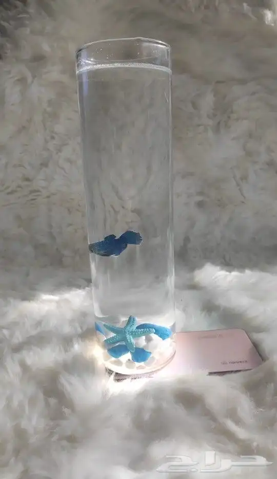 سمك الفايتر مع الحوض - لما تكون الهديه روح 5