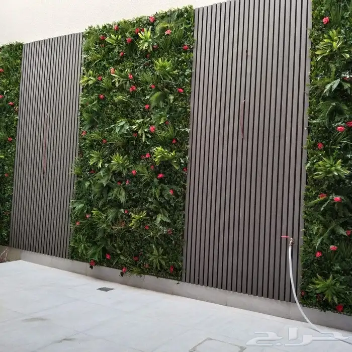 عشب جدارى عشب ارضى تنسيق حدائق 3