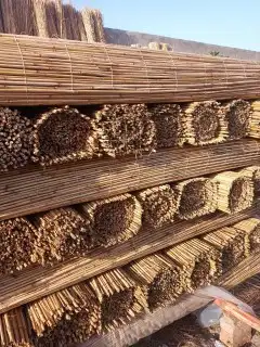 الخيزران بمبو قش 3