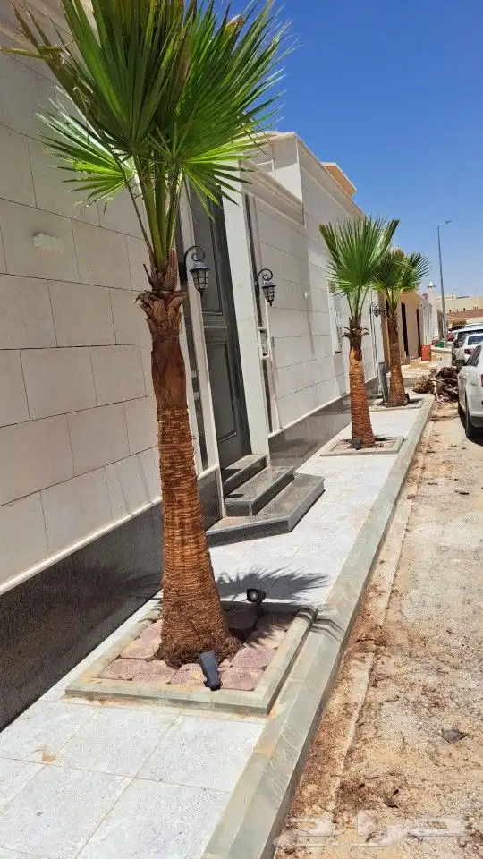 تنسيق فني حدائق حديثه 6