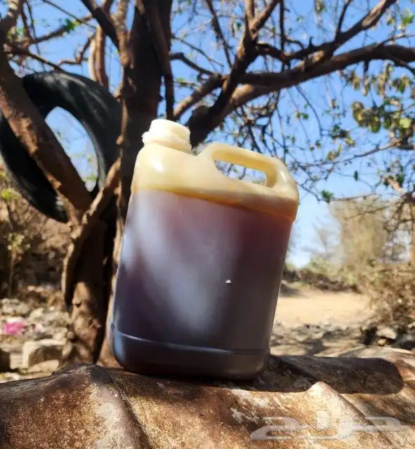 عسل سدر بغيه 0