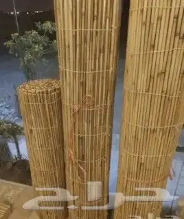 الخيزران بمبو قش للبيع 3