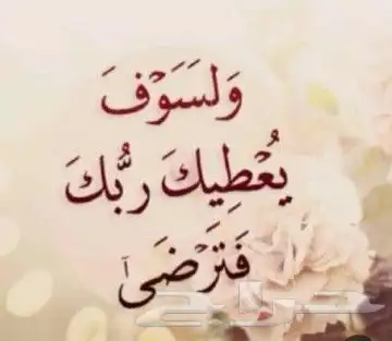 كهربائى على أعلى مستوى من الجودة في العمل وسرعه فى الأداء 0