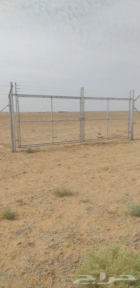 شبوك مزارع الرياض الجله تبراك القرنه شقراء 6