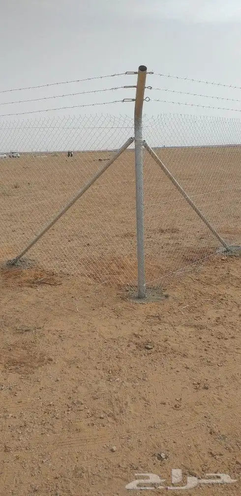 شبوك مزارع الرياض الجله تبراك القرنه شقراء 2