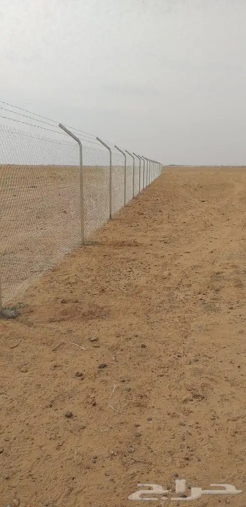 شبوك مزارع الرياض الجله تبراك القرنه شقراء 4