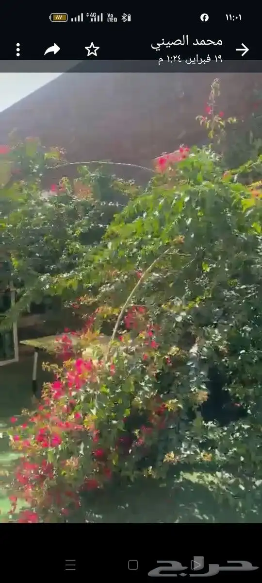 تنسيق حدائق عامه وتكسيات جداريه وعشب صناعي 4