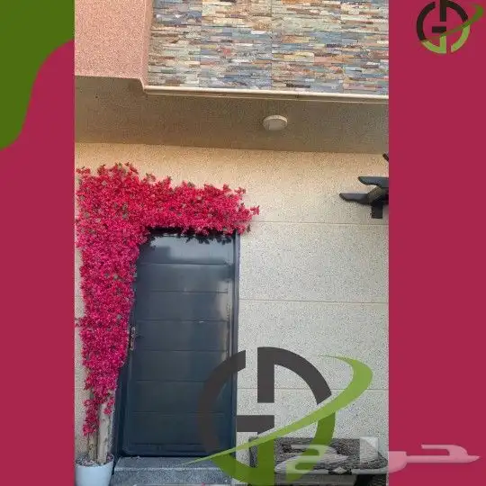 اشجار ليمون 5