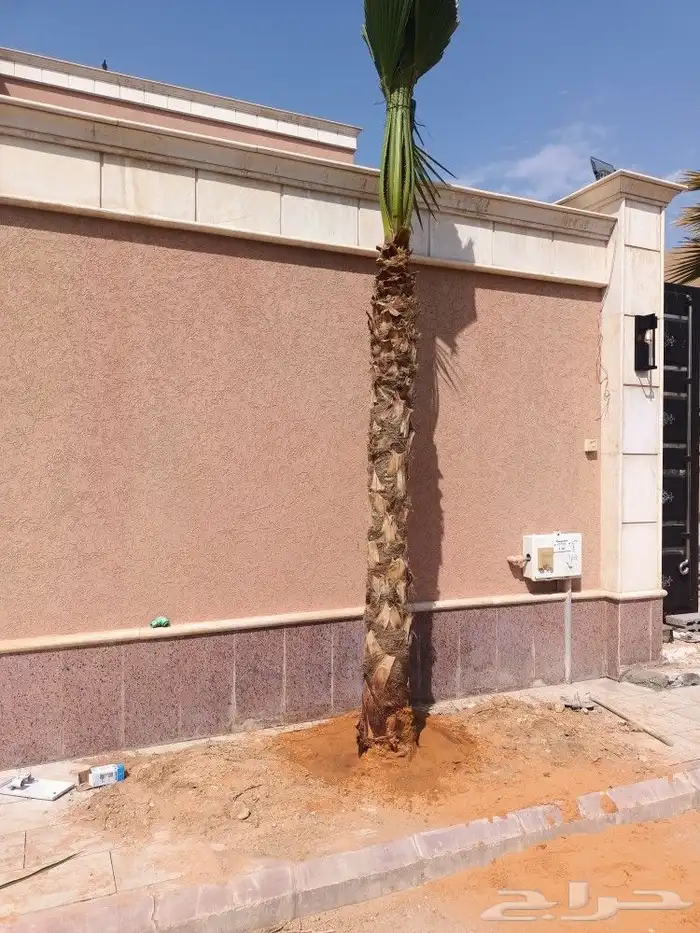 تنسيق حدائق عامه وتكسيات جداريه وعشب صناعي 6