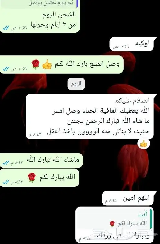 عرض حناء وسدر اليوم الوطني مخفض 8