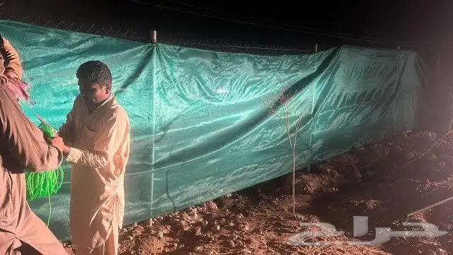 شبك اخضر 2متر 2