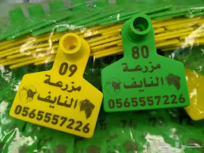 بطاقات ترقيم الغنم والماعز (بطاقات أذن الحلال) 16