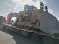 لوبد متواجد في حفر الباطن رفحاء النعيرية 0