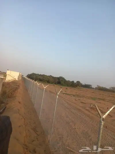 شبوك مزارع ابو عريش جيزان 4