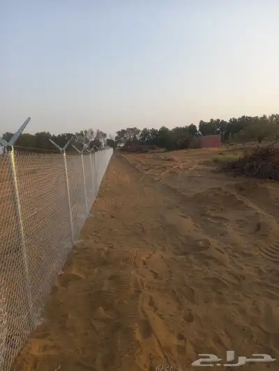 شبوك مزارع ابو عريش جيزان 1