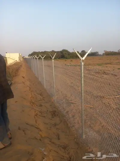 شبوك مزارع ابو عريش جيزان 2