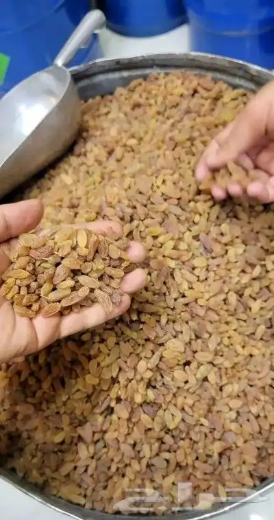 زبيب رزقي يمني شي فاخر 1