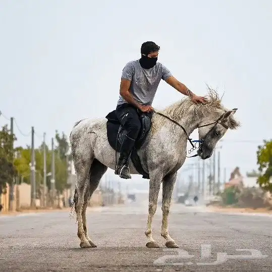 مصور محترف   فوتو فيديو تصوير جوي وأرضي 17