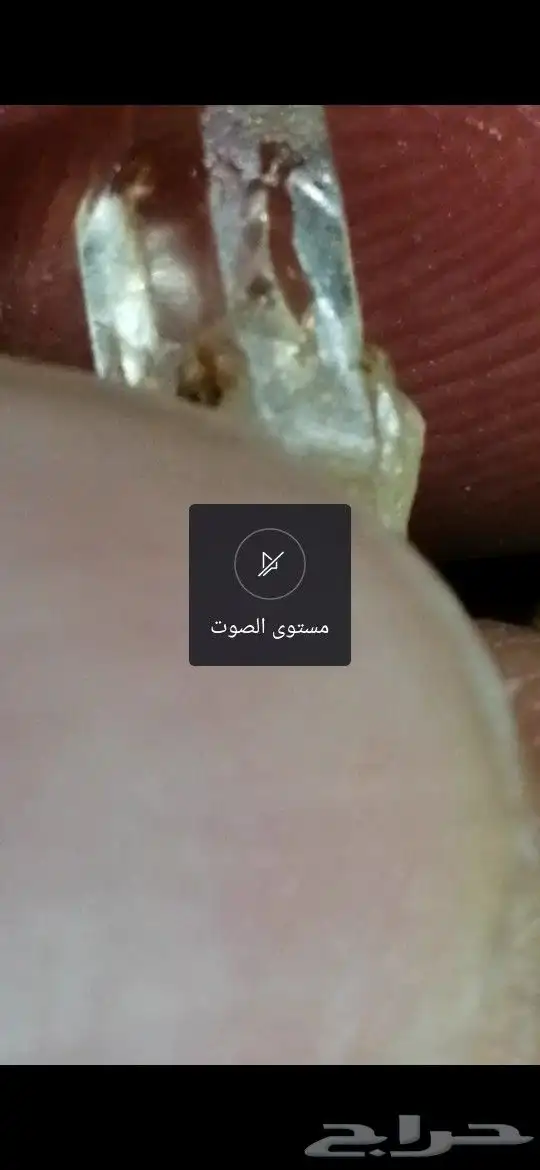 عندي حجر اذا صورته وقرت الكاميرة تكتشف صور عجيبة 7