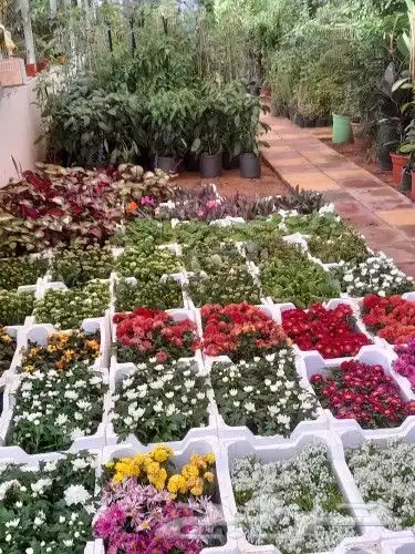 تنسيق حدايق 8