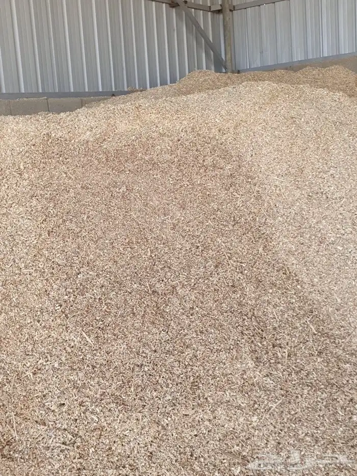 نشارة دواجن البيع كميات 0