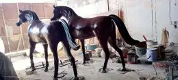 منتجات فيبر جلاص 0