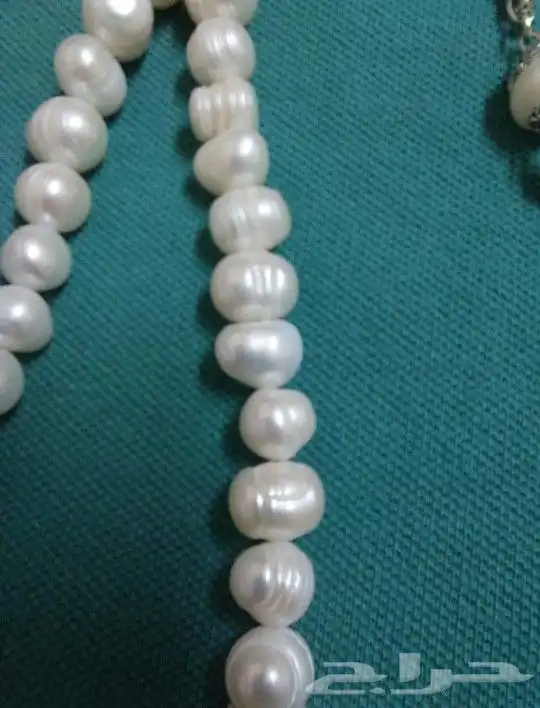 سبحة لؤلؤ مياه عذبا طبيعي 3