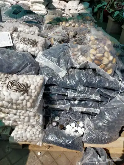 تنشق الحدائق 9