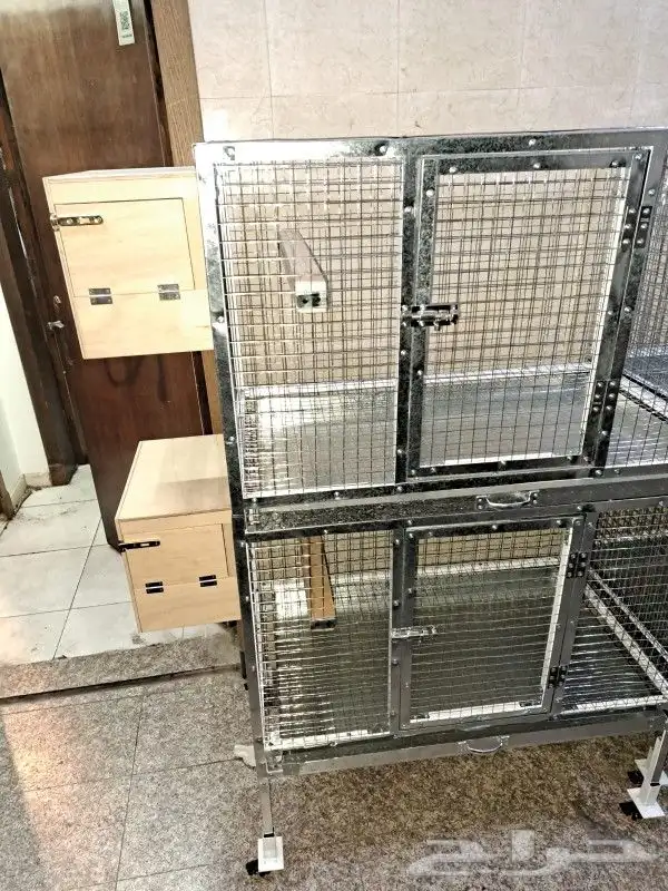 قفص روز كروان كوكتيل فشر كناري ببغاء كاسكو قطط كلب 14