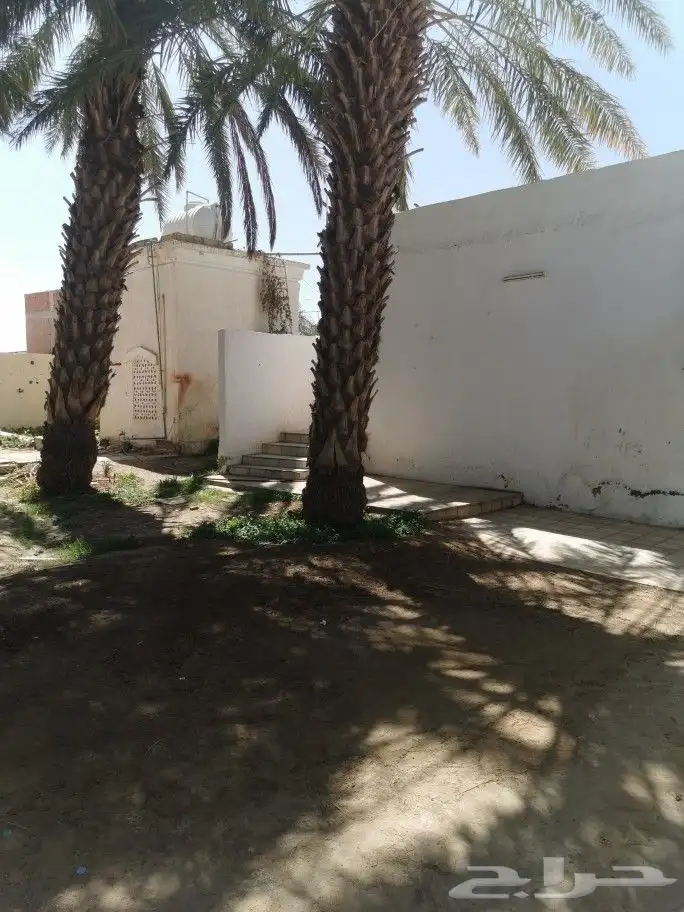 مسجد جامع قديم بحاجة إلى أهل الخير 5