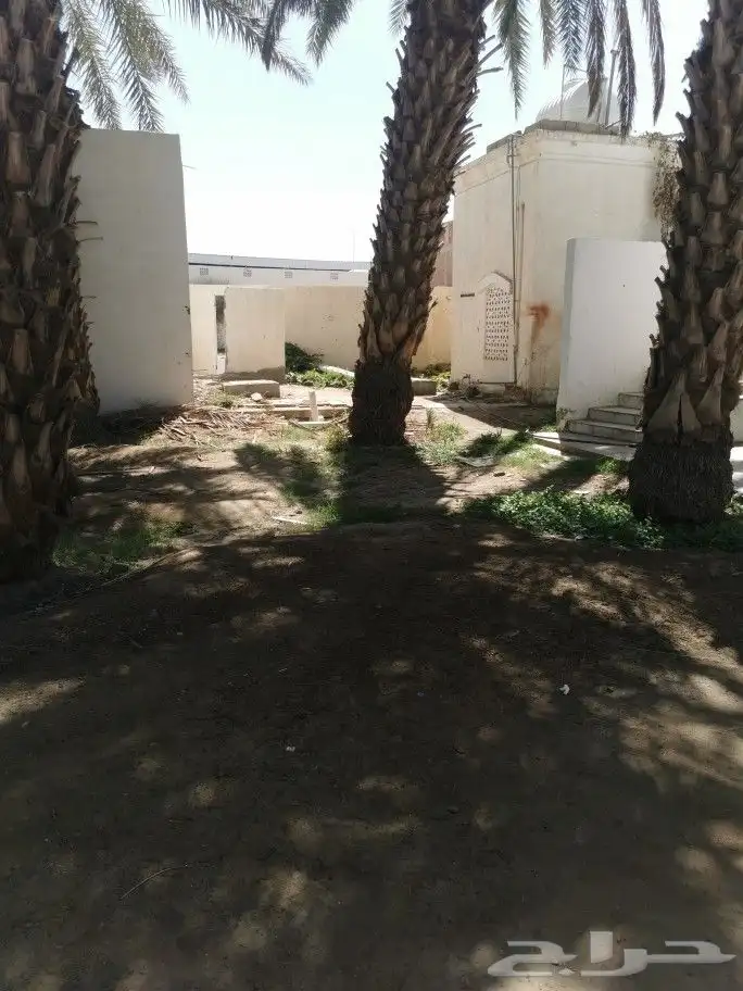مسجد جامع قديم بحاجة إلى أهل الخير 6