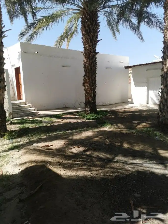 مسجد جامع قديم بحاجة إلى أهل الخير 8