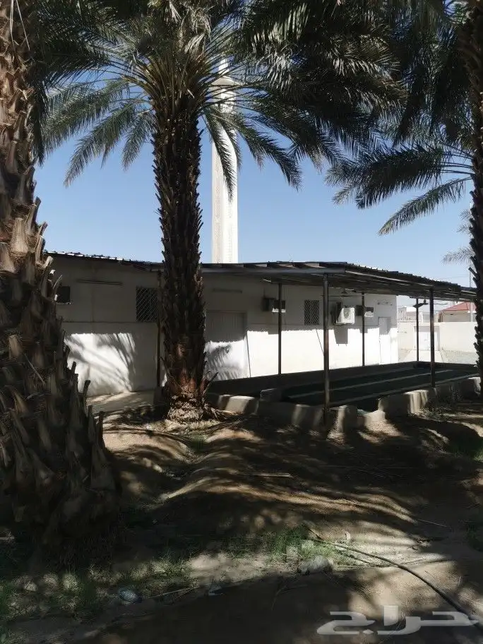 مسجد جامع قديم بحاجة إلى أهل الخير 7