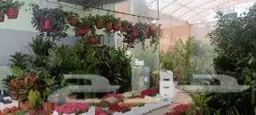 منسق حدائق وزراعة الثيل والديكورات 0