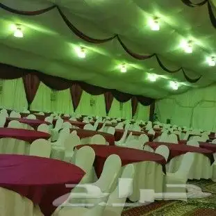 تأجير كراسي   طاولات   زل   جلسات ارضية سماعات   عدة قهوة 14