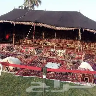 تأجير كراسي   طاولات   زل   جلسات ارضية سماعات   عدة قهوة 24