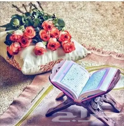 معلمة قرآن 0