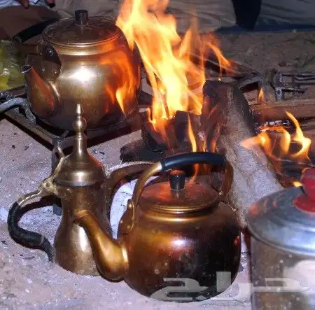 تأجير كراسي   طاولات   زل   جلسات ارضية سماعات   عدة قهوة 6