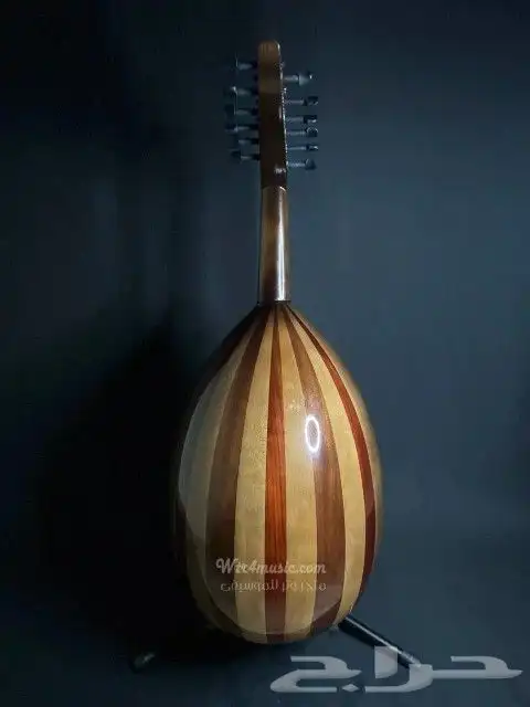 عود موسيقي طربي جديد للبيع 2