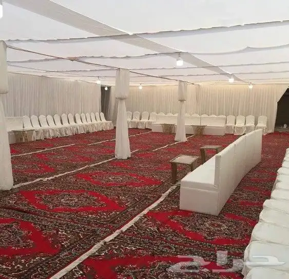 تأجير كراسي   طاولات   زل   جلسات ارضية سماعات   عدة قهوة 20