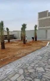 فسايل صقعي ومجدوله 4